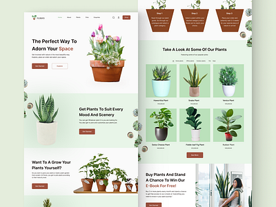 Plant shop homepage