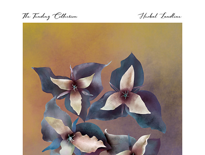 Trillium - Endangered Plants Collection botanical climate change environmentalism illustration nature
