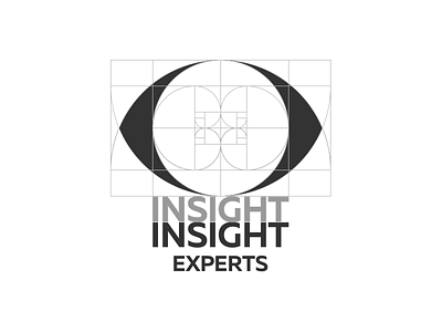 Insight Experts