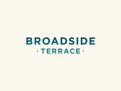 Broadside Terrace brand branding broadside design gradient logo logodesign terrace type typography