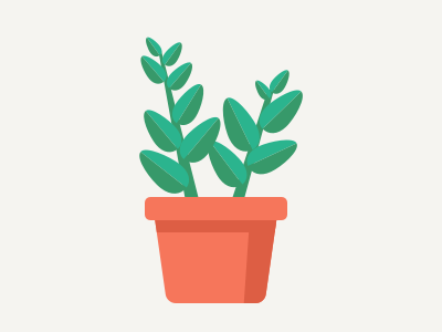 Plant flat illustration plant