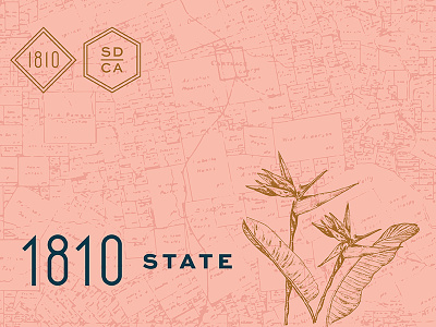 1810 State Branding III branding building concept etching exploration ledgewood numerals map old map pattern plant soft pink state