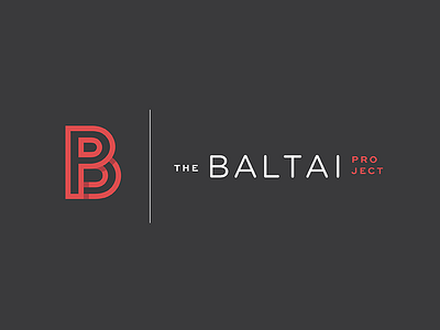 Baltai Project II.I baltai branding direction identity line logo monogram project russian shadow translate