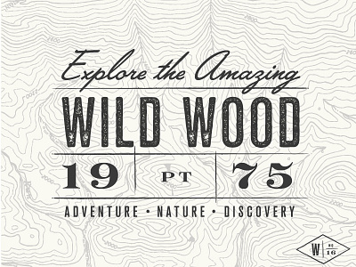 Wild Wood - Postcard adventure branding discovery logo nature postcard stationary texture trail map vintage wildwood wood