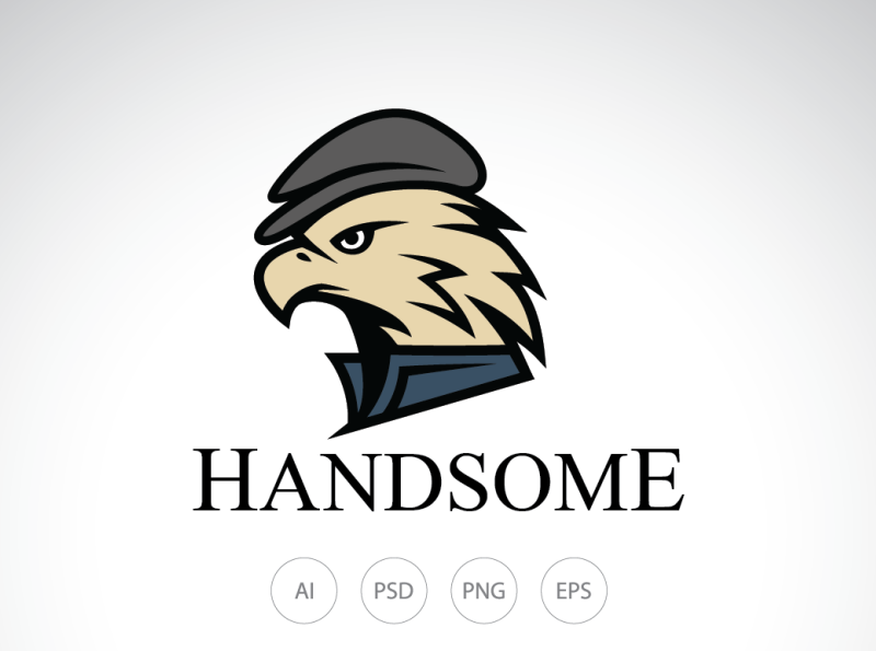 handsome logo