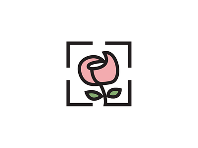 rose photography logo camera camera logo flower green photography logo pink rose rose logo shoot logo