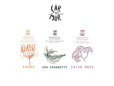 Car Y Mor - For the Love of the Sea branding design graphic design illustration logo
