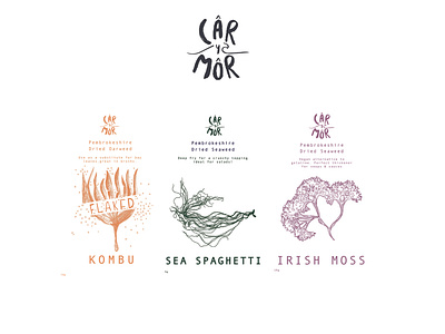 Car Y Mor - For the Love of the Sea