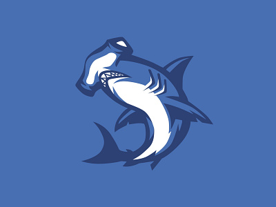 HAMMERHEAD SHARK design graphic design hammerhead hammerhead shark illustration logo mascot mascot logo shark shark logo vector