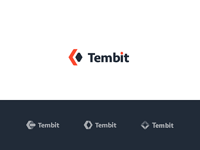 Tembit Logo branding design flat graphic design icon illustration minimal typography vector