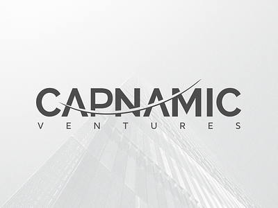 Capnamic Ventures logo venture capital