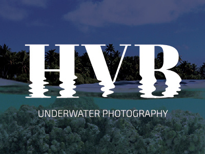 HVB Brand brand distorted dive logo reflection scuba sea underwater water