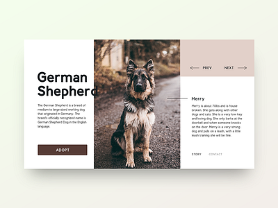 Adoption adopt clean minimal pet simple ui web