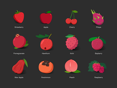 Fruit2 fruit illustration
