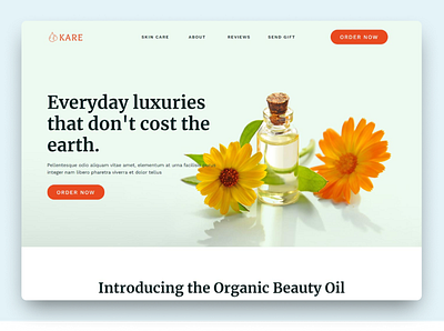 Kare Organic Oil Sales Funnel Landing Page analytics boost checkout ecommerce funnel funnel system funnels landing landing page marketing oil organic oil sales sales funnel sales landing