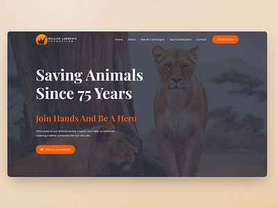 Animal Welfare Web Design