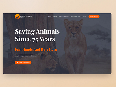 Animal Welfare Web Design animal animal protection animal rescue animal shelter animal welfare charity ngo pet protect animal save animals wildlife