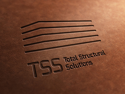 TSS / Branding Project