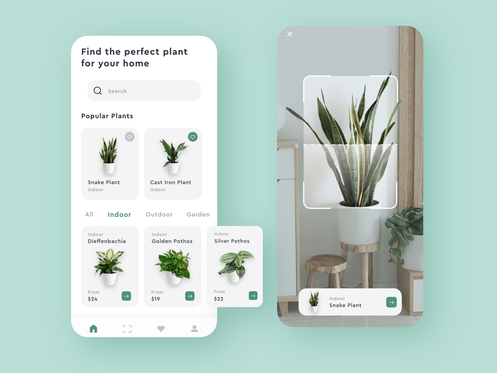 Plant app. Plant shop. Indoor Plants in Store.