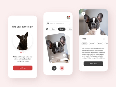 Pet Matching App 🐾 adobe xd android app clean colors design ios ui ux