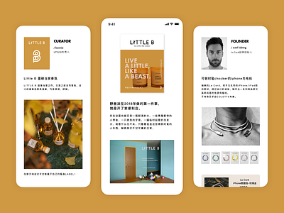 Brand introduction app branding design ui
