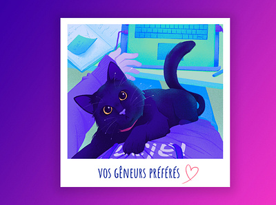 Talan - Home Office Illustrations - Your favorite fusspots animal branding cat graphic design home office identity illustration lockdown pet