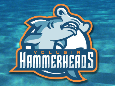 Hammerheads fantasy team hammerhead illustration illustrator logo minor league shark sports sports branding sports business sports logo