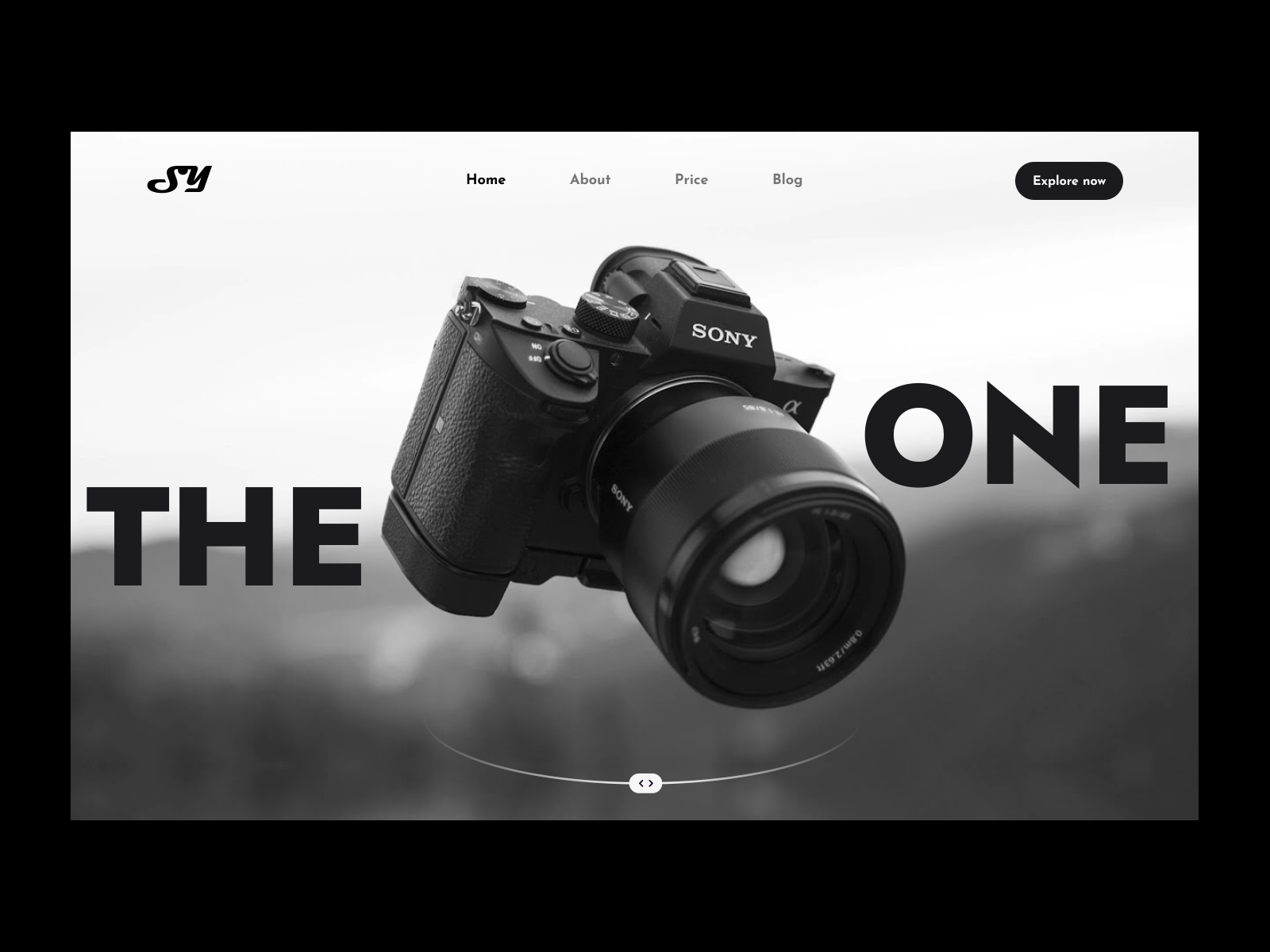 sony-the-one-by-alexbx-on-dribbble