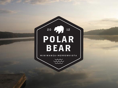 polar bear plunge logo