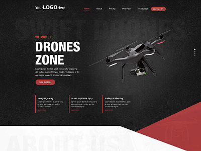 Drone Zone branding design drones illustration landing page landing page design ui ux web webdesign website website design