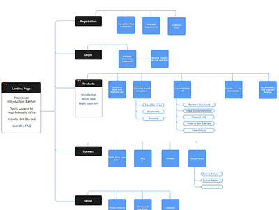 API Portal IA information architecture