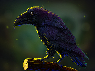 Crow character crow forest game illustration tree