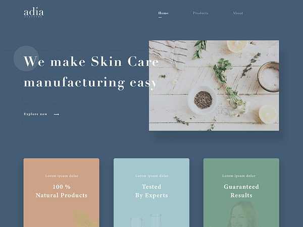 Skincare Website Designs Themes Templates And Downloadable Graphic 