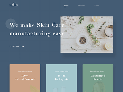 Adia Website Design - Skin Care
