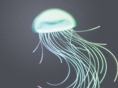 Jellyfish glow illustration jellyfish neon photoshop