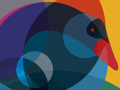 Black Swan 02 black swan circles colourful geometric overlay swan