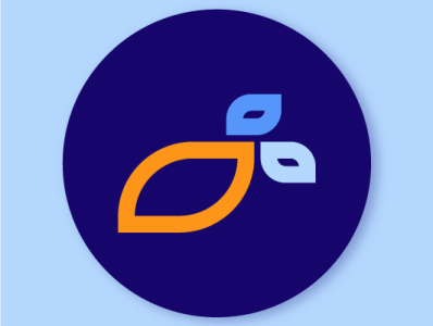 Bo 1.3 branding design graphic design logo
