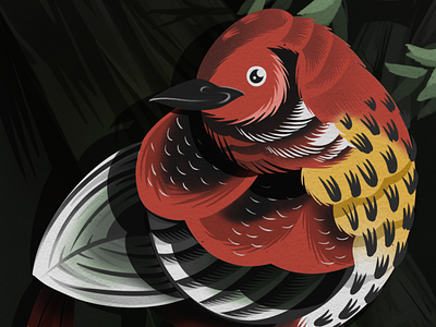 El Pájaro - The Bird ancy audoban bird bird illustration darkness digital art folk art game art hand drawn loteria nature nervous nervousness night time pajaro procreate procreate app procreate art