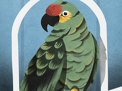 EL Cottoro - The Parrot bird illustration birds game art hand drawn illustration illustrator loteria mexican mexico parrot parrots procreate procreate art