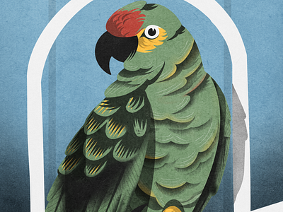 EL Cottoro - The Parrot