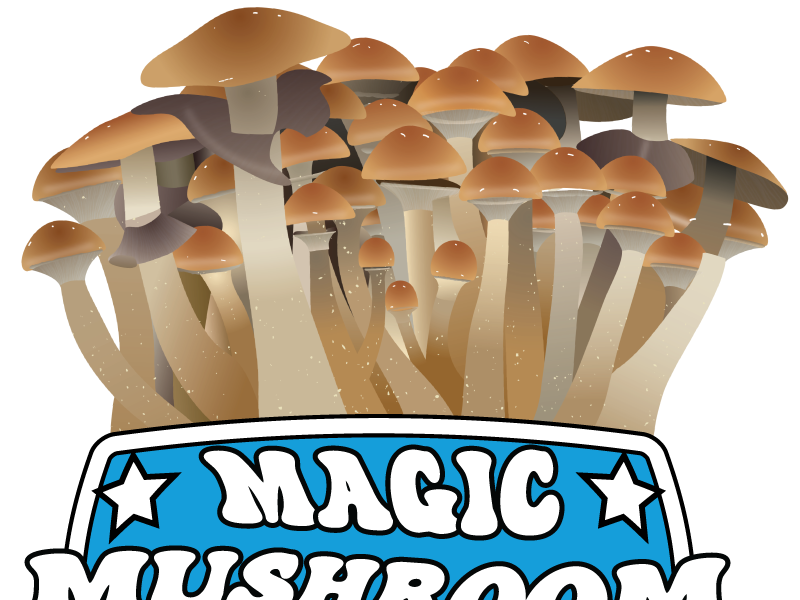 PE 6 Spore Syringe by Lord of Spore on Dribbble