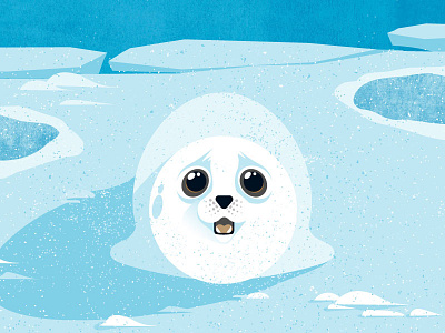 Cute Seal baby seal createthelabel cute cute seal ice robbe seal snow viva con aqua vivaconaqua wasser für alle
