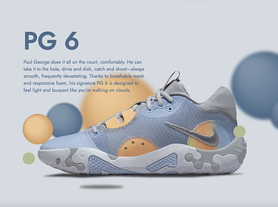 PG-6 Nike ShoeShop adobe illustrator css html js