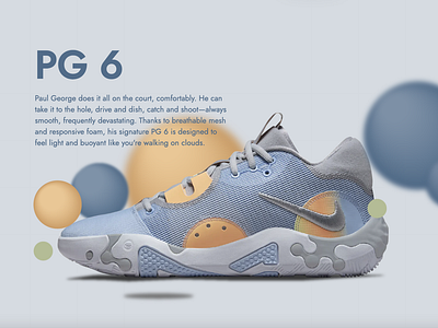 PG-6 Nike ShoeShop