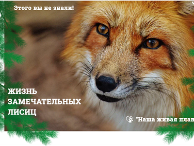 "Wonderful foxes life" landing page