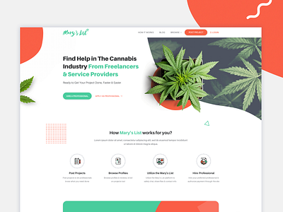 Cannabis Industry 420 abstract cannabis design hire industry interface landing marijuana medical cannabis modern ui ux website weed