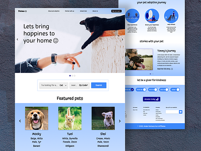 Pet Adoption Website Design