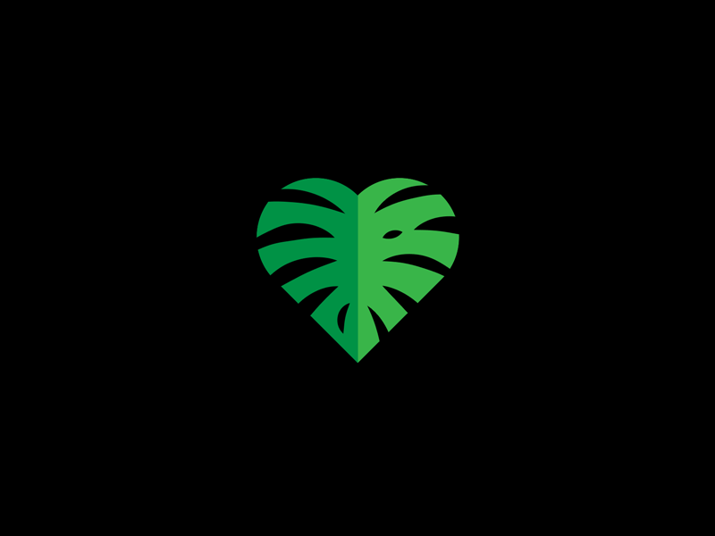 Monstera Heart animation flat gif green heart icon icon animation illustration leaf loop minimal monstera monstera deliciosa plant plantlover swiss cheese plant