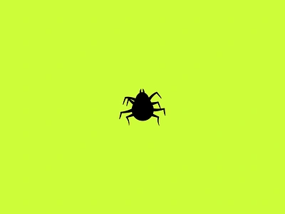 Funky bugs animation bug flat gif illustration loop minimal pattern simple tick