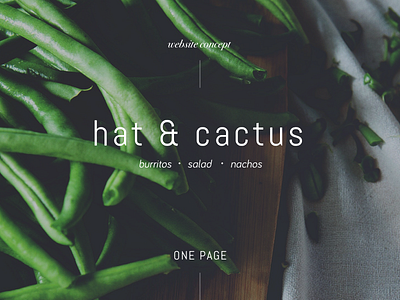 Hat & Cactus